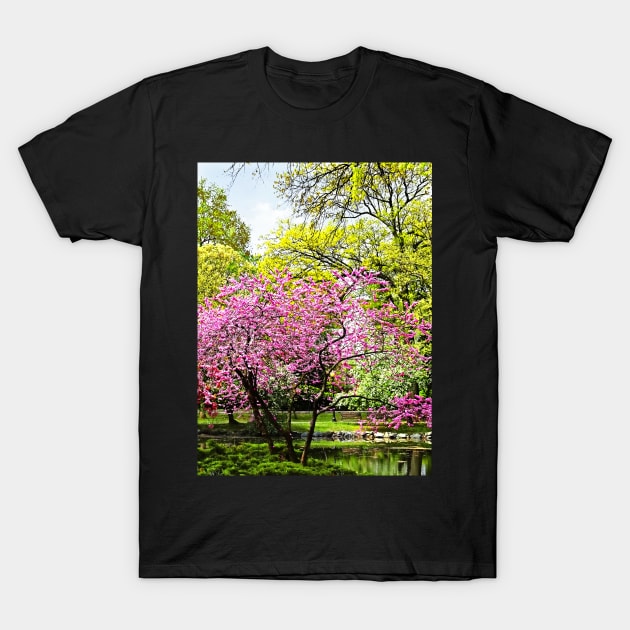 Spring - Flowering Trees in the Park T-Shirt by SusanSavad